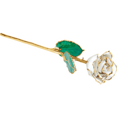24K Solid Gold Rose- Diamond White